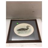 Framed Duck Picture Approx 16x14