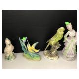 Strangl Cockatoo & hummingbird, & Parrot, Lady