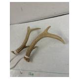 Antlers