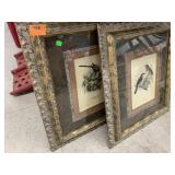 2cnt Bird Photos