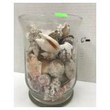 Vase with Shells