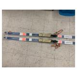 Skis, Fisher Mirror Moog