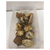 Geodes / Rocks