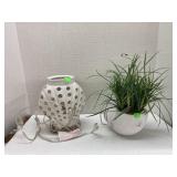 Sheï¿½ll Planr& Light Up Shell  (works)