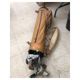 Left Handed Golf Clubs in Golf Bag