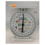 American Family Scale