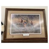 First Dusting Pheasants Picture