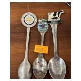 Collectible Spoons
