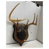 Deer Antler Plaque Mount