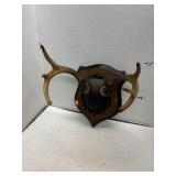 Deer Antler Plaque Mount
