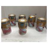 6 Containers String Lights