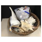Basket of Shells