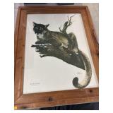 Framed Signed - Cougar Print