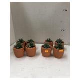 8cnt Faux Succulent Planters