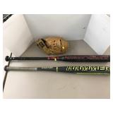 2 Soft Ball Bats and Regent Glove