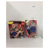 WWE Book & Toy Figure