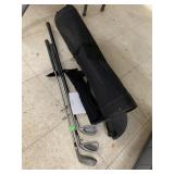 Golf Bag and 3 Clubs