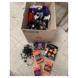 Halloween Lights and Misc Decor
