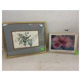 Vintage Framed Prints