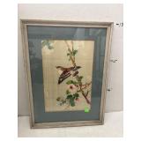 Framed Bird Print
