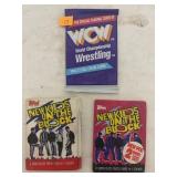 World Championship Wrestling & New Kids on the