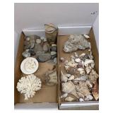 Shells, Rocks, Mis
