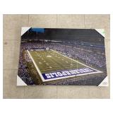Indy Colts canvas picture