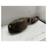 Raccoon Hat