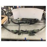 2 Bows, Quiver, Arrows