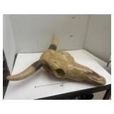 Western Faux Skull Steer Head - horn has been