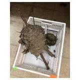 Wasp Nest