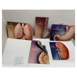 Vntg 1938 Pharmaceutical Literature of Body Parts