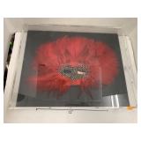 Mask in Display Case