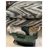 3 Blankets and 2 Pillows
