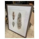 Feather picture