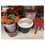 Flower pots, wooden stool, dog food