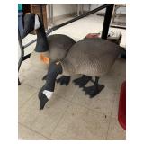 2cnt Geese