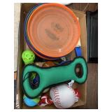Dog toys and Frisbees