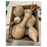 Box of gourds for crafts