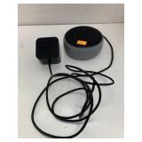 Amazon Alexa, Powers on