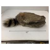 Coonskin Hat with Tail