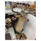 Singing and Moving Buck, works