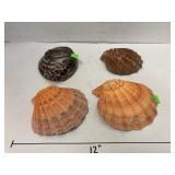 Shell collection