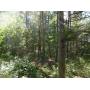20 Acres of prime Land