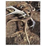 Elk Sheds