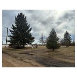 3 Residential Lots, 627 Main Street S, Ituna, SK
