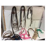 Leather headstalls.Roller Bit,Lead shanks.Halters