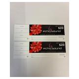 Echo Sound, two $20 Gift Certificates #'s 58, 59
