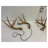 Horns to rattle them in. 1 set. 1 partial
