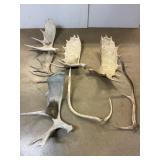 Moose and Elk Sheds